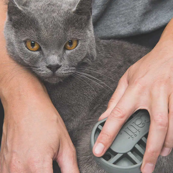 Catit shorthair grooming kit.