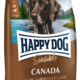 Happy dog sensible canada.