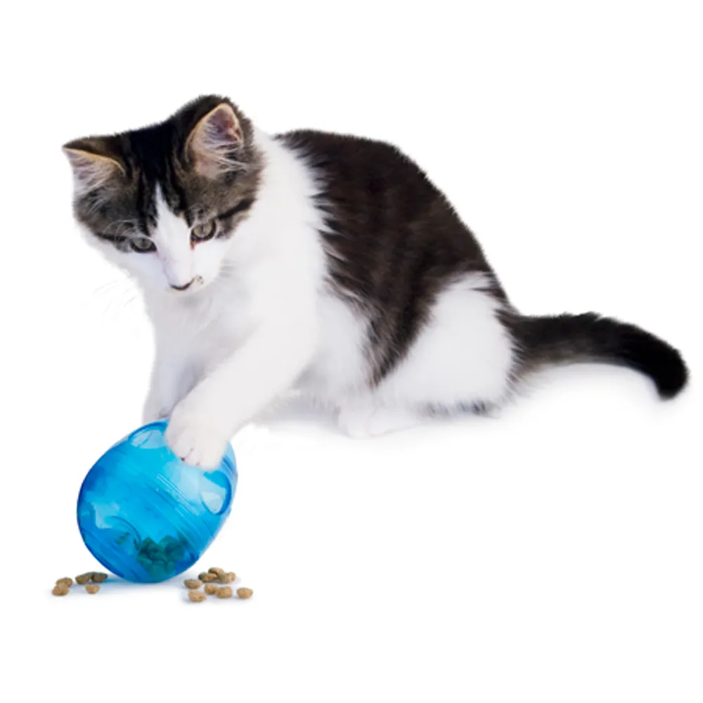 Petsafe funkitty egg cersizer