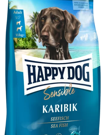 Happy dog sensible Karibik