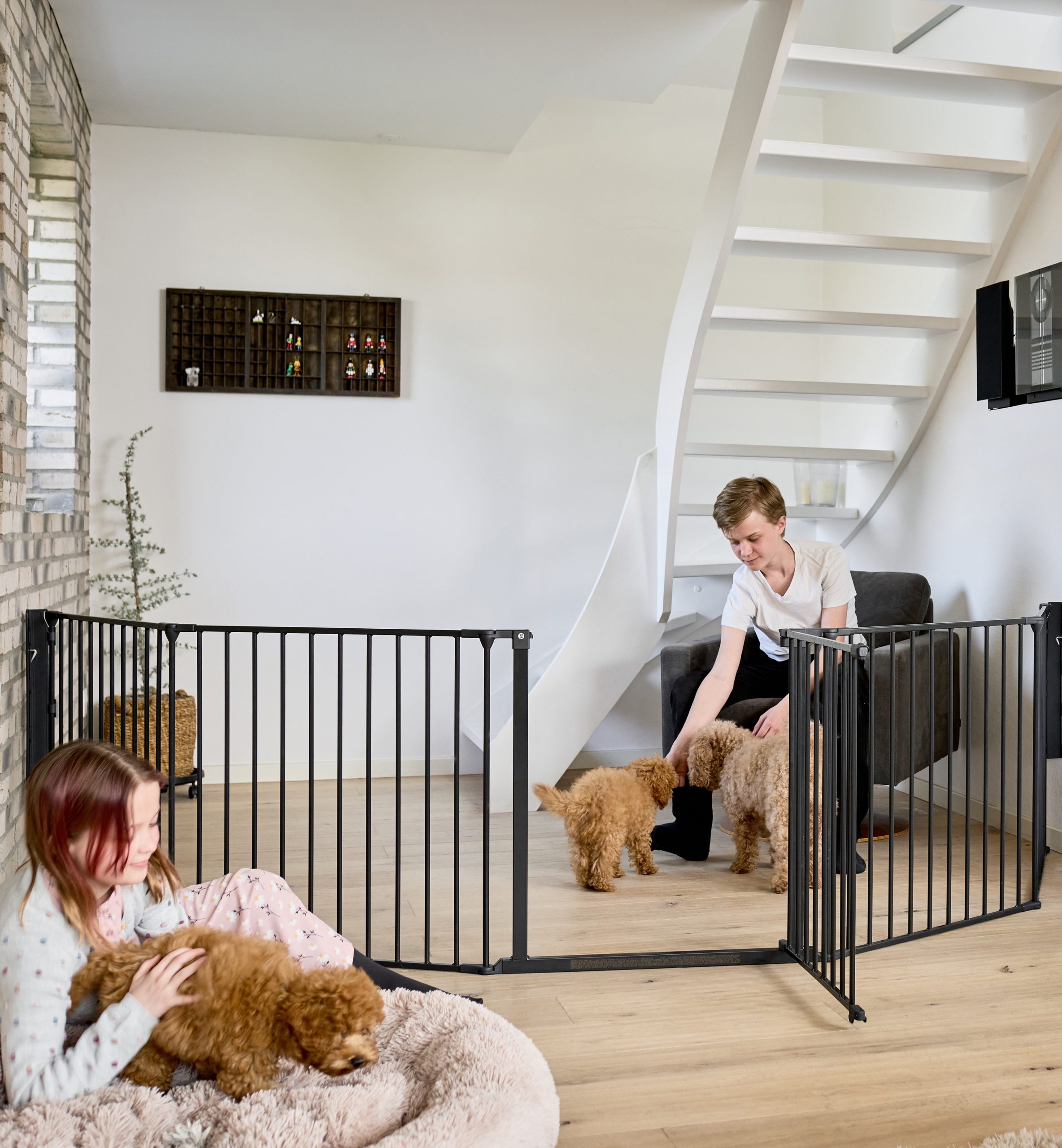 DogSpace max gitter.