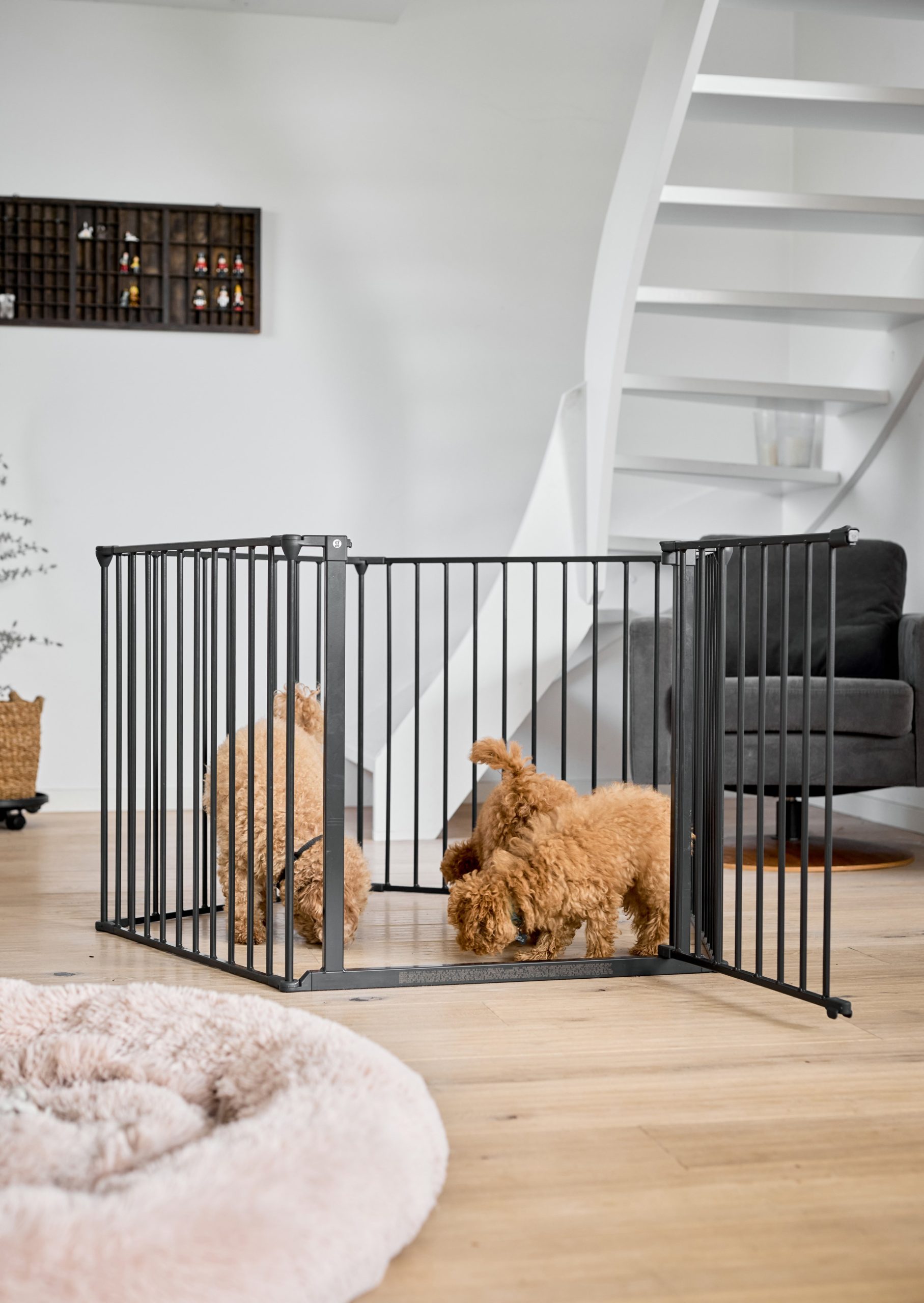 DogSpace max gitter.