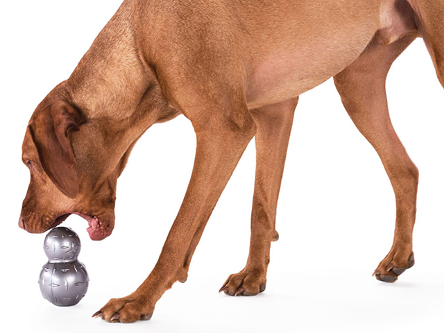 Planet Dog double tuff grå Small