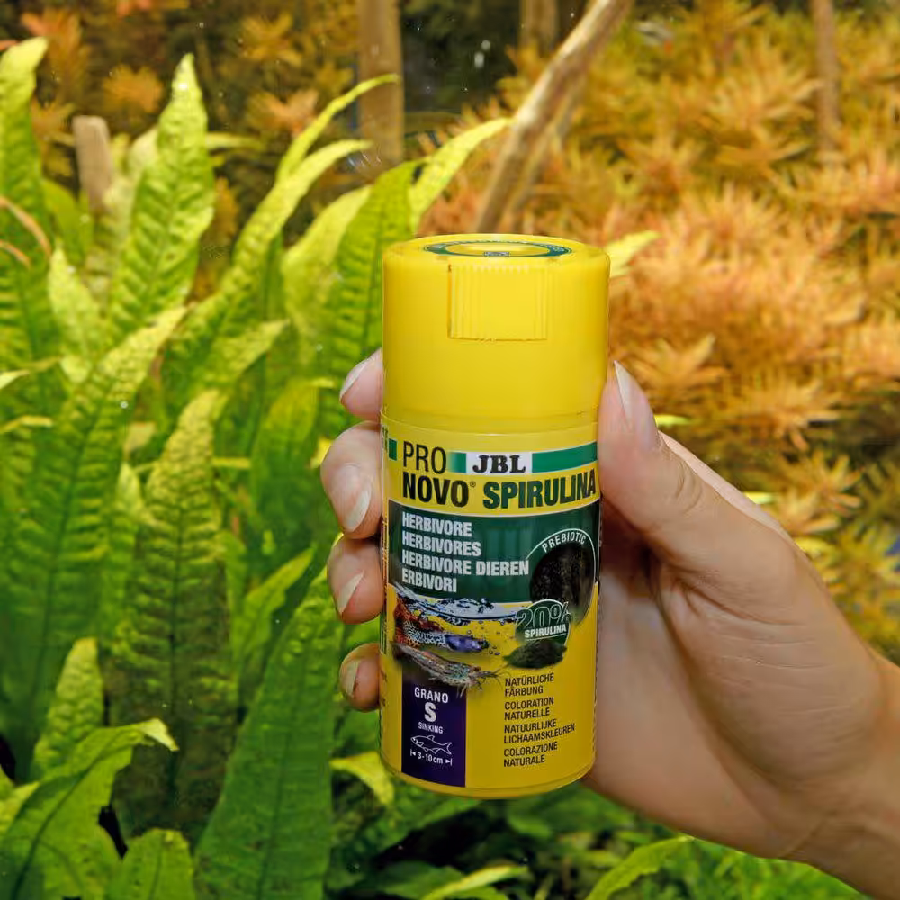 Jbl Pronovo Spirulina grano S 100 ml. click