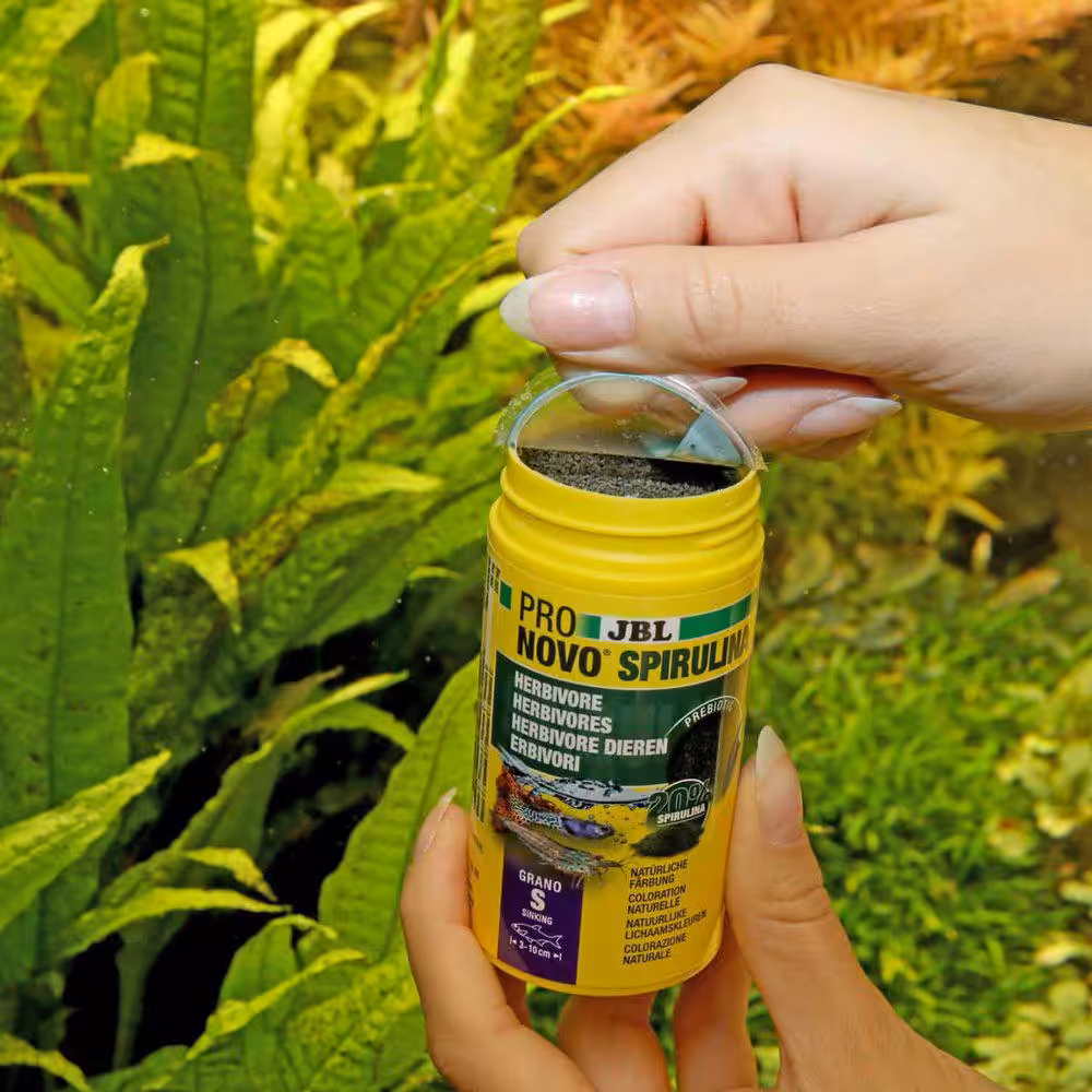 Jbl Pronovo Spirulina grano S 100 ml. click