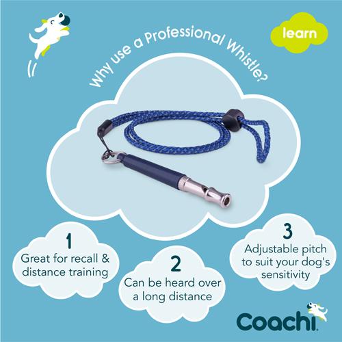 Coachi professional whistle