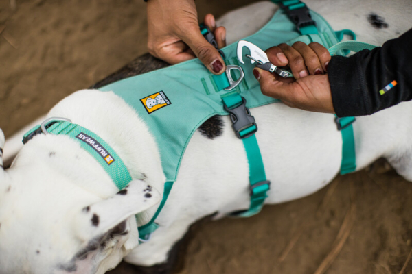 Ruffwear Hi & Light™ halsbånd Sage Green.