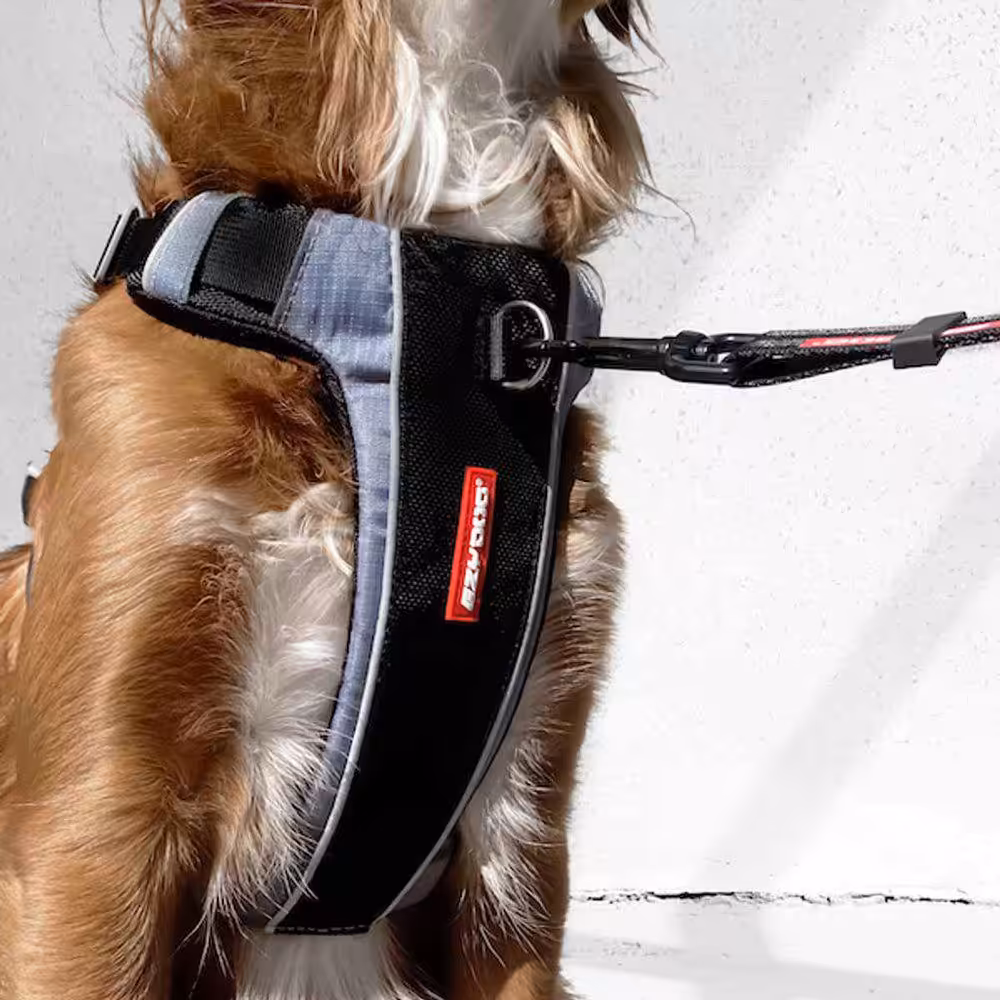 Ezydog X-Link justerbar sele i sort. - Billede 5