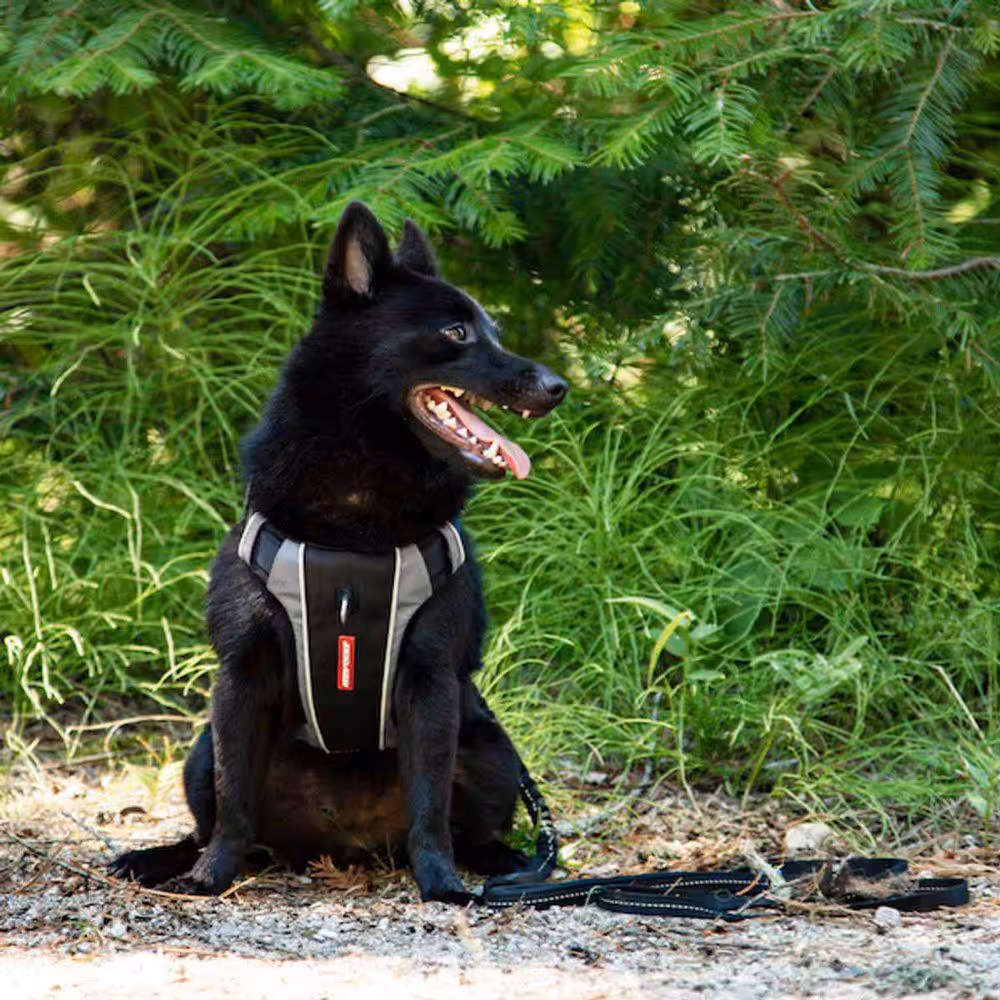 Ezydog X-Link justerbar sele