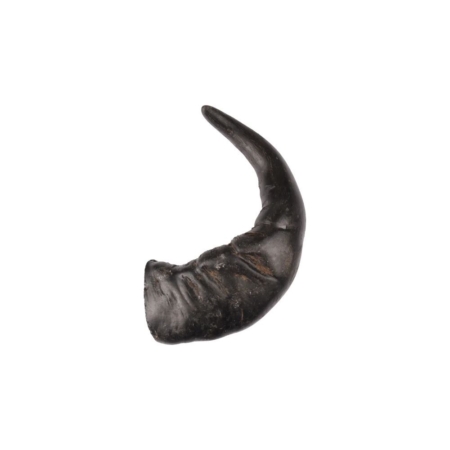 Flamingo Bøffelhorn L 1 stk.