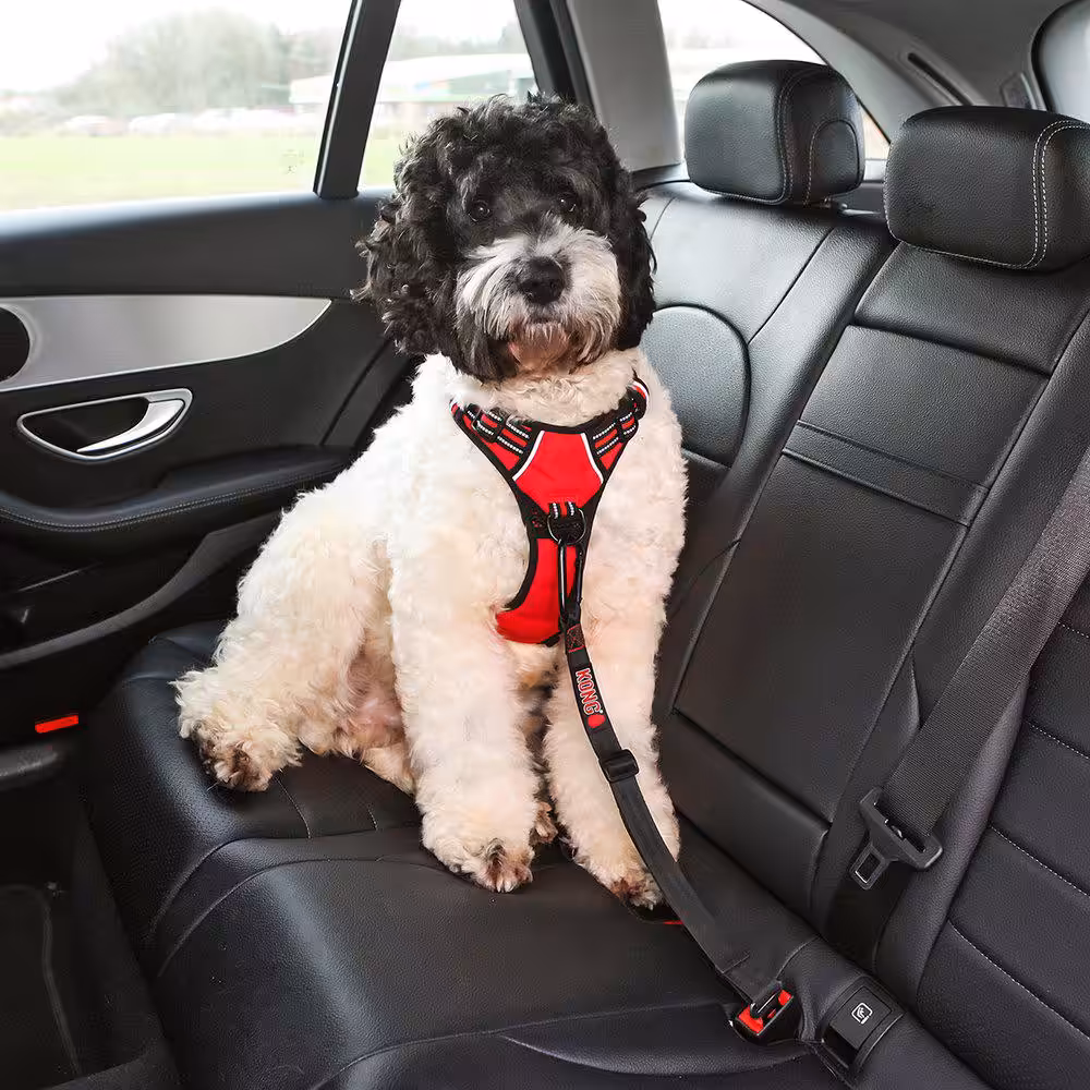 Kong Seat Belt Tether