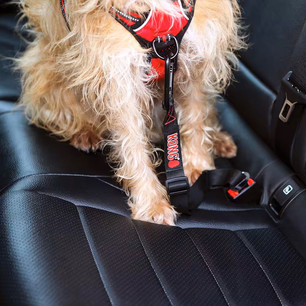 Kong Seat Belt Tether