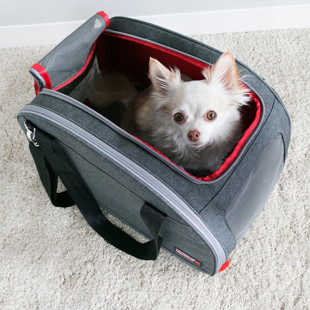 Kong 2-in-1 Pet Carrier & Travel Mat - Billede 12