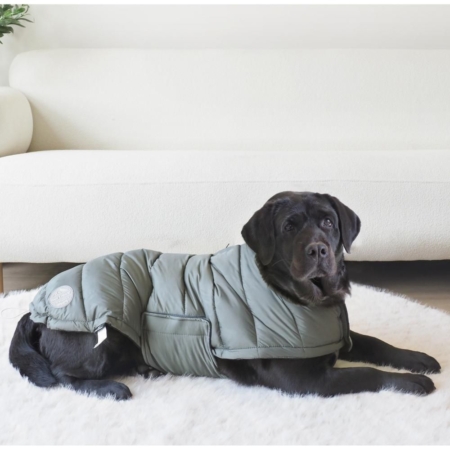 Nordic Paws Albert puf regnjakke Grøn