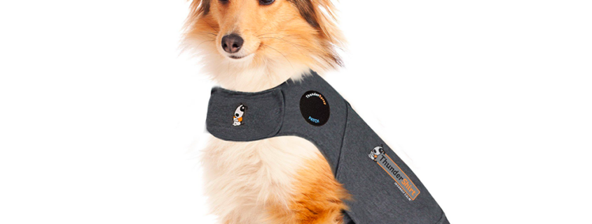 Thundershirt