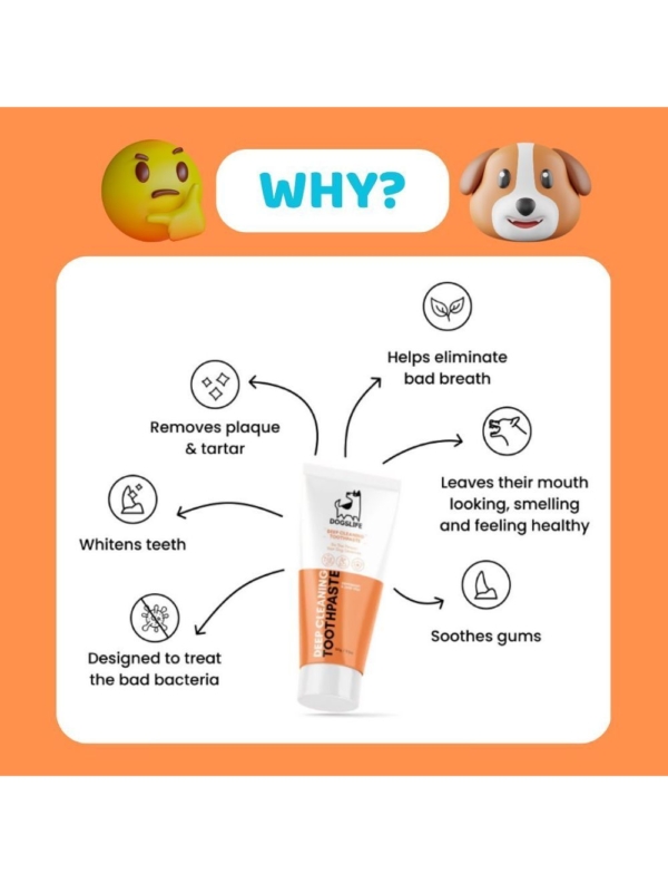 Dogslife dental kit (tandplejesæt)