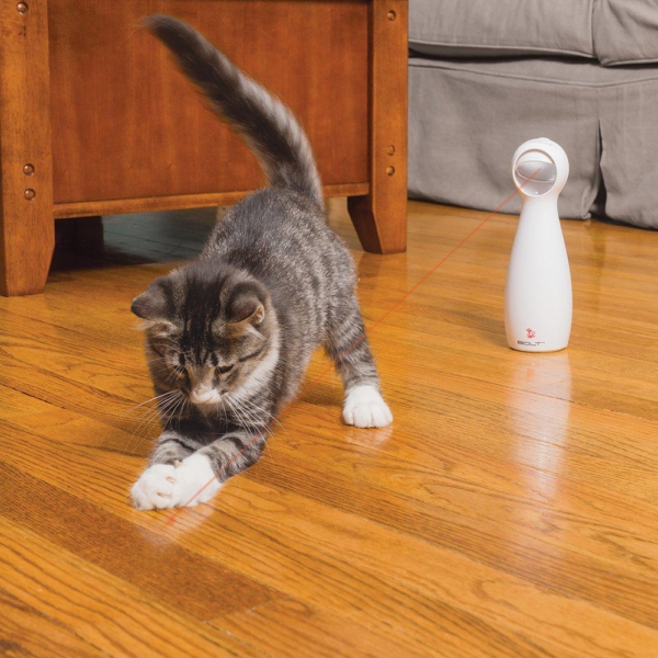 Petsafe FroliCat automatic laser