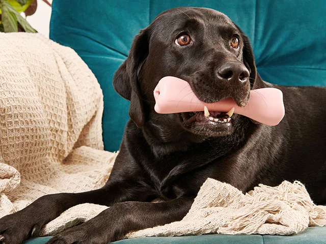 Beco natur gummi ben lyserød