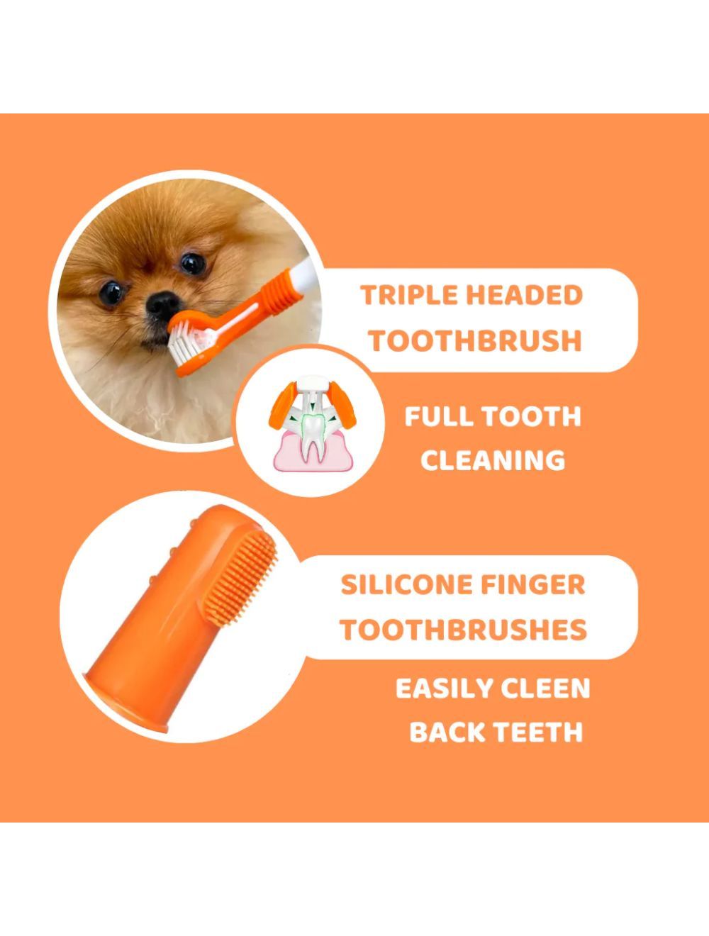 Dogslife dental kit (tandplejesæt)