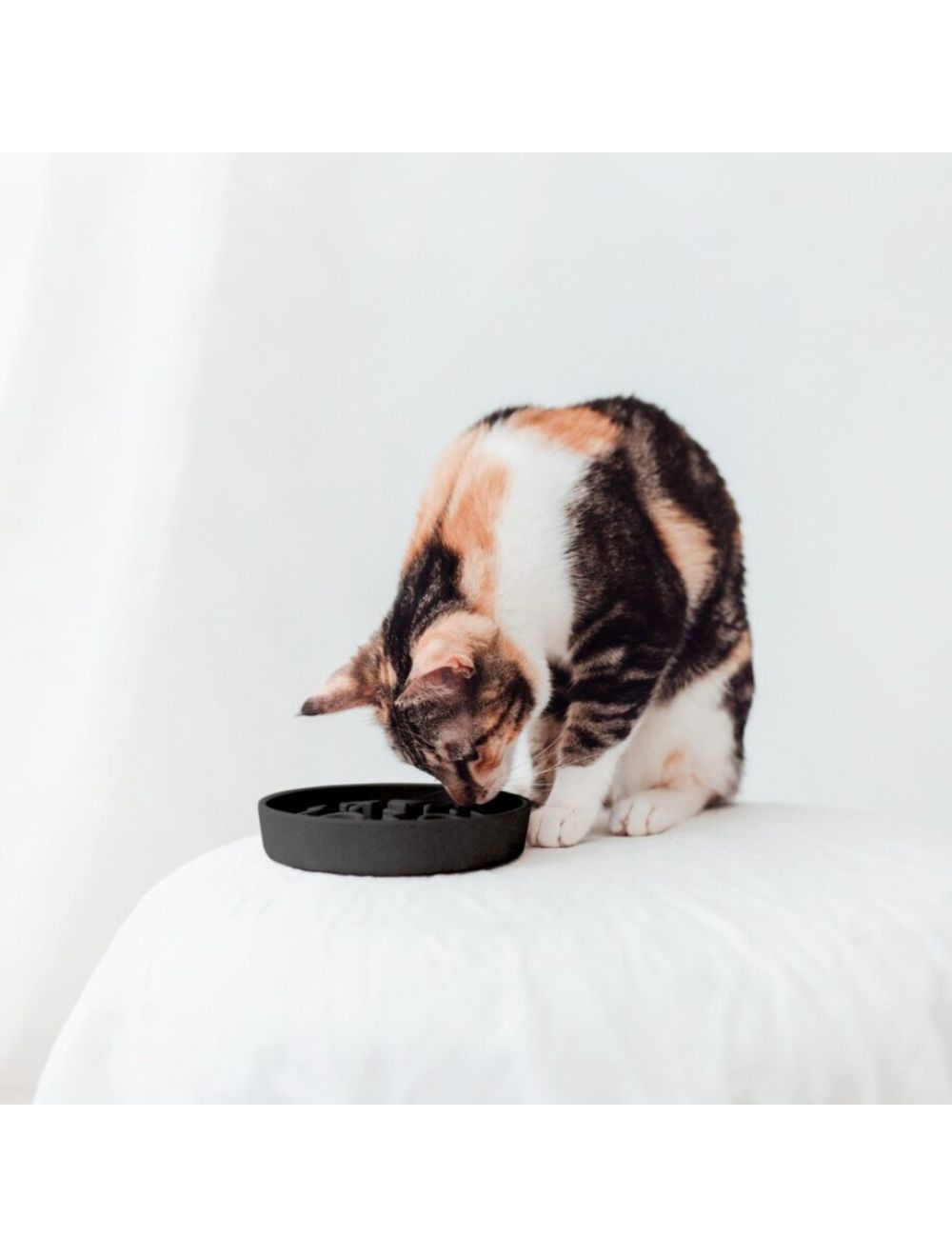 District 70 Bamboo Cat slow feeder dark grey