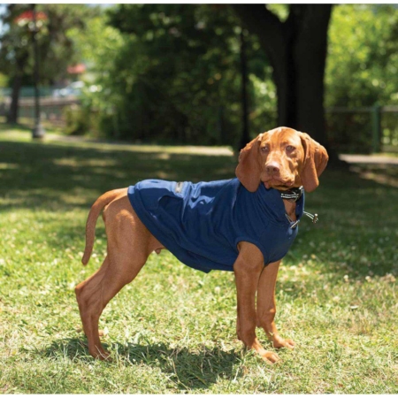 Dog Gone Smart Chill kuzzi biobliss hoodie Cool Blue