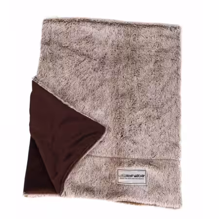 Dog Gone Smart Ichy Witchy Blanket Chocolate