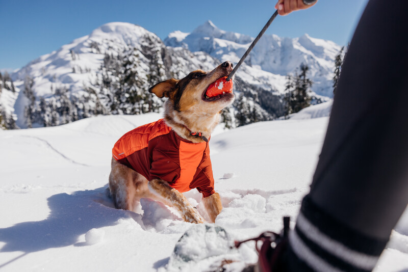 Ruffwear Huck-a-Cone™ Toy