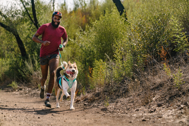 Ruffwear Hi & Light™ sele Sage Green