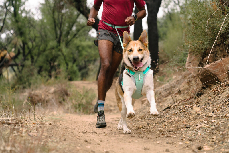 Ruffwear Hi & Light™ sele Sage Green