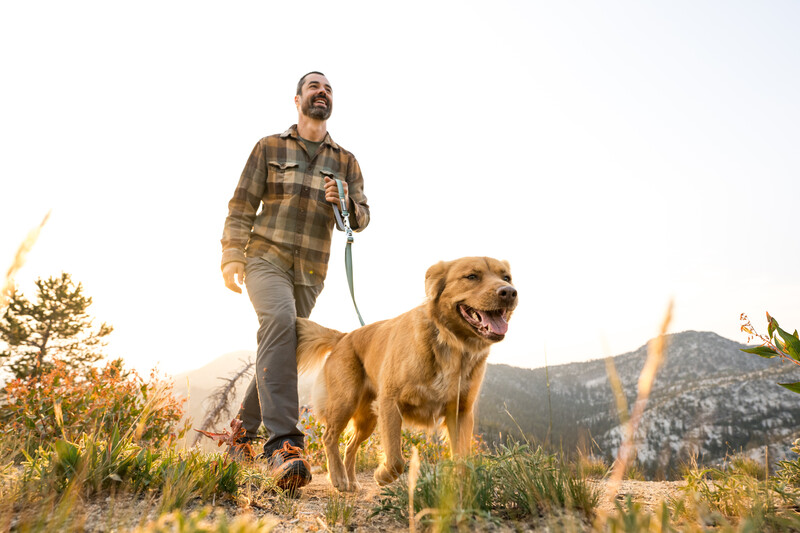 Ruffwear Switchbak™ Line River Rock Green