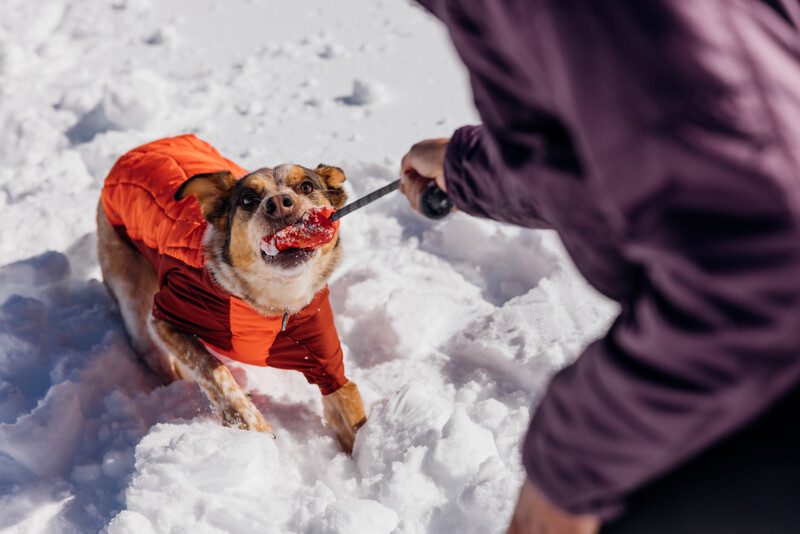 Ruffwear Huck-a-Cone™ Toy