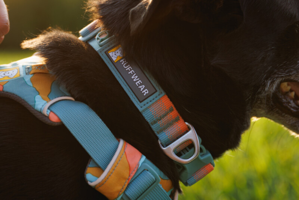 Ruffwear Front Range halsbånd Spring Fade