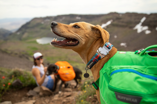 Ruffwear Top Rope™ halsbånd Sunset