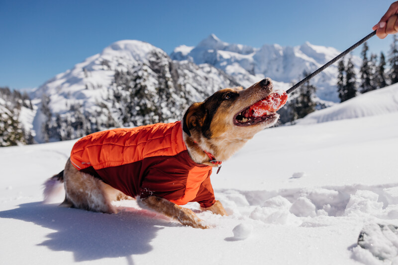 Ruffwear Huck-a-Cone™ Toy