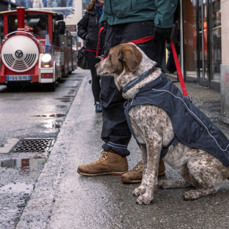 Ruffwear overcoat fuse™ jakke Bassalt gray