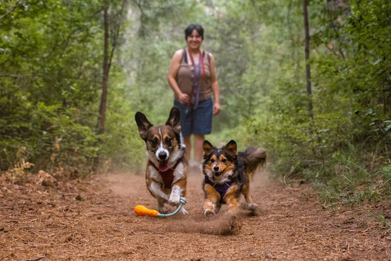 Ruffwear Gourdo™ rubber toy Campfire Orange