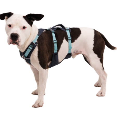Ruffwear flagline™ sele Basalt Gray