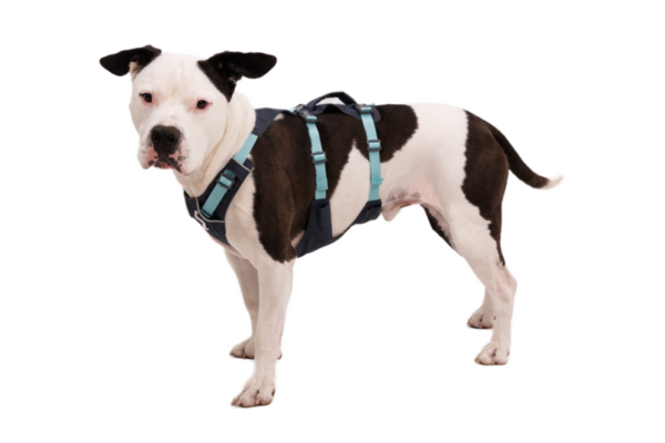 Ruffwear flagline™ sele Basalt Gray