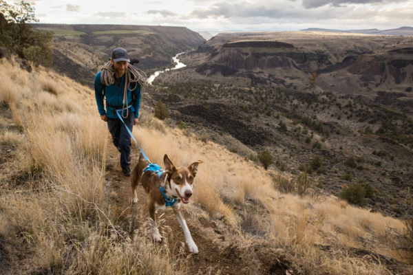Ruffwear Flagline™ line Blue Dusk