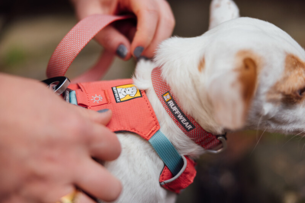 Ruffwear Hi & Light™ sele Salmon Pink