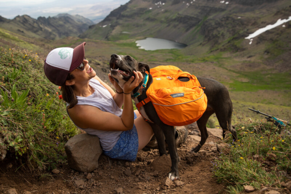 Ruffwear Top Rope™ halsbånd Seafoam