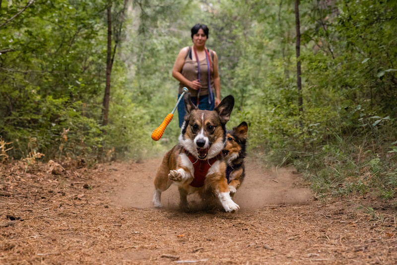 Ruffwear Gourdo™ rubber toy Campfire Orange