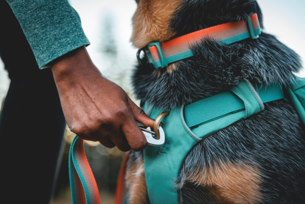 Ruffwear Front Range halsbånd Spring Fade