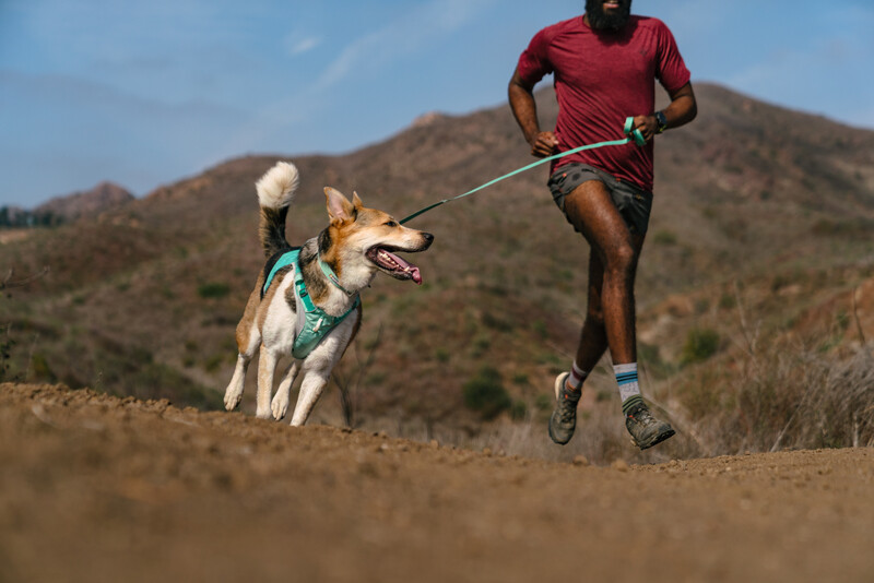Ruffwear Hi & Light™ sele Sage Green
