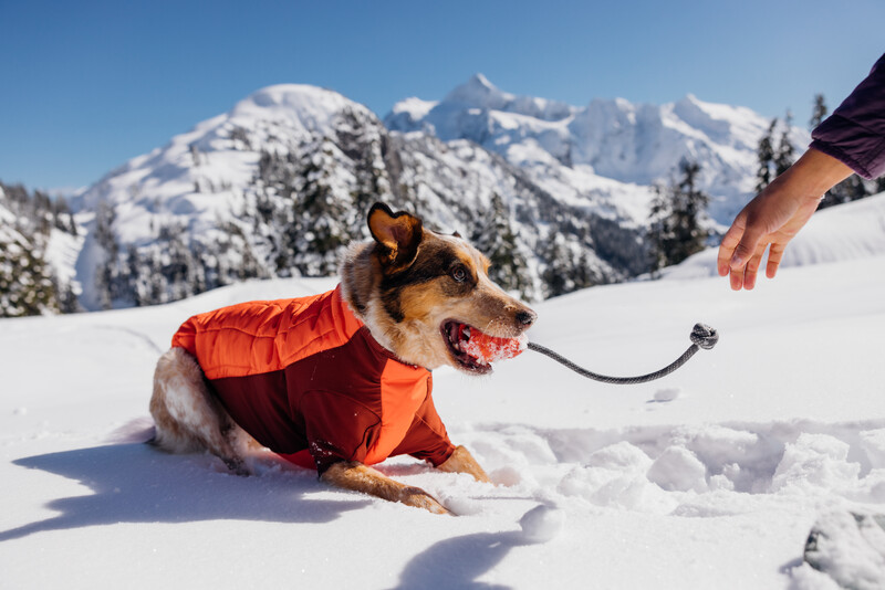 Ruffwear Huck-a-Cone™ Toy