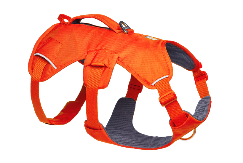 Ruffwear Web Master™ sele Blaze Orange
