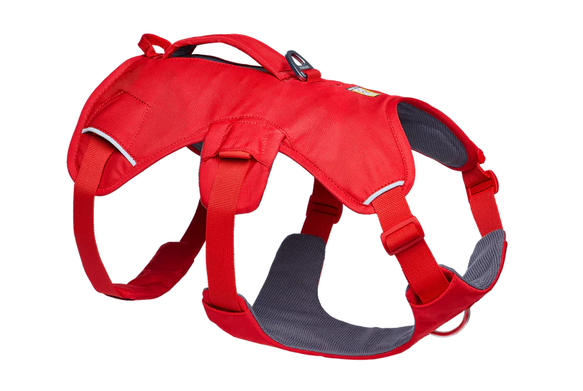 Ruffwear Web Master™ sele Blaze Orange
