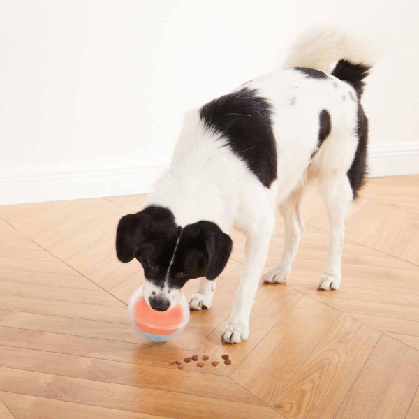 Outward hound rumble puzzle orange