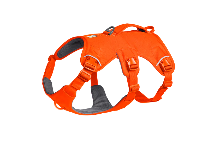 Ruffwear Web Master™ sele Blaze Orange