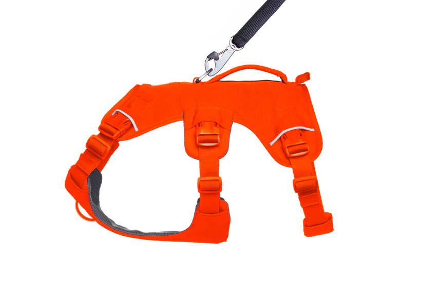 Ruffwear Web Master™ sele Blaze Orange